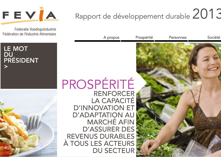 fevia_csr_report_2014_summary