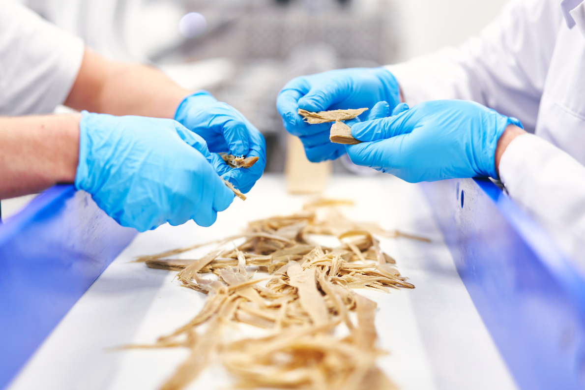 Ingrediëntenproducent Solina werkt aan eiwittransitie Ingrediëntenproducent Solina werkt aan eiwittransitie