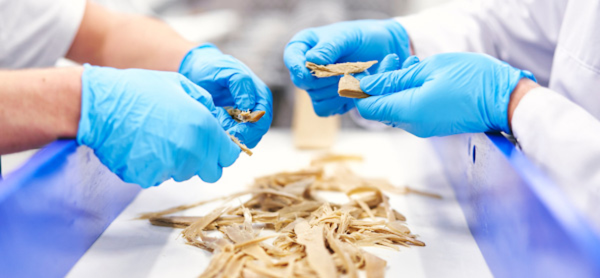 Ingrediëntenproducent Solina werkt aan eiwittransitie 